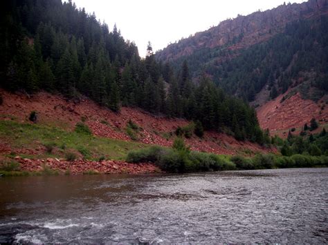 Стеллан скарсгард, николя уолкер, лесли мэнвилл и др. Fly Fishing On The Frying Pan River In Colorado