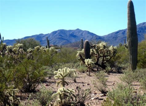 West Tucson Lot Stunning Mountain Views Tucson Land And Home Realty