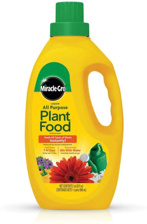 Miracle Gro Liquid All Purpose Plant Food Concentrate 32 Oz Lazada PH