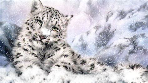 Snow Leopard Hd Wallpaper Background Image 1920x1080 Id673719