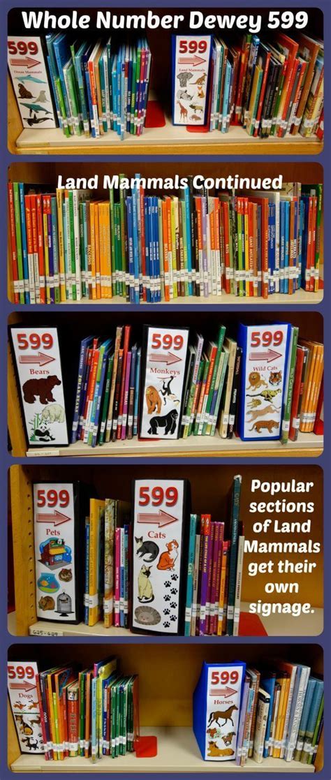Shelf Signs For Whole Number Dewey Library Sections On Magazine Boxes