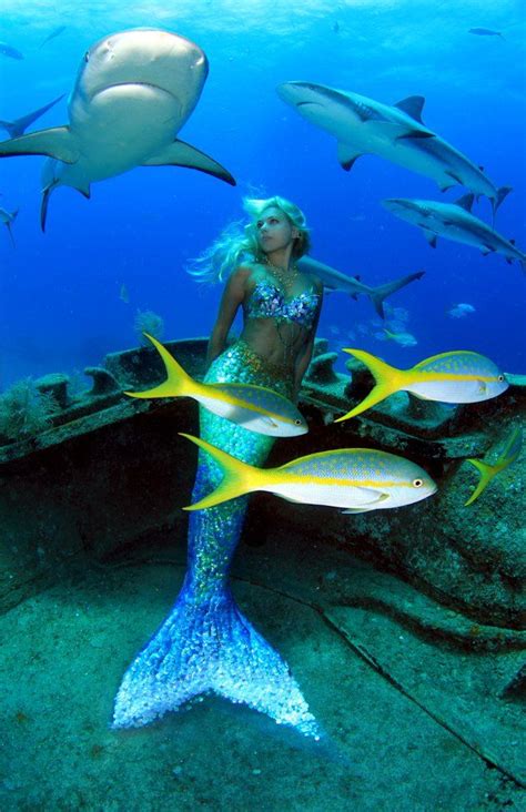 Under The Sea With Real Life Mermaid Hannah Fraser This Australian