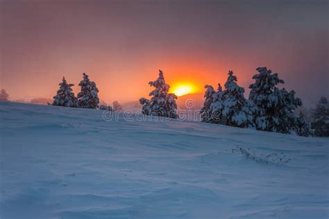 Misty Sunrise In The Winter Forest In The Mountains Stock Photo