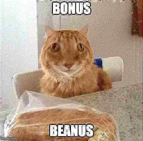 Bonus Beanus Imgflip