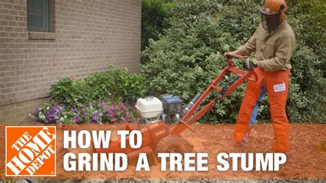 How To Grind A Tree Stump The Home Depot Youtube