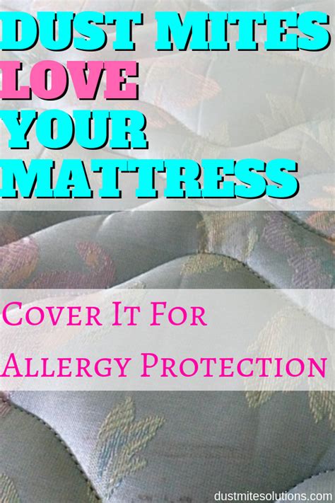 Best Mattress Cover For Allergies Dust Mite Allergy Dust Mites