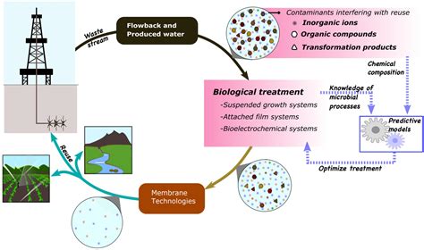 Frontiers Emerging Trends In Biological Treatment Of Wastewater From