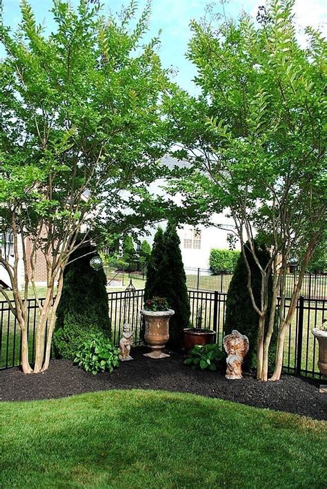 10 Front Yard Privacy Landscaping