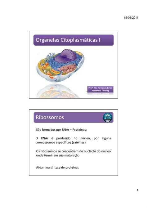 Pdf Organelas Citoplasmáticas I Brsge