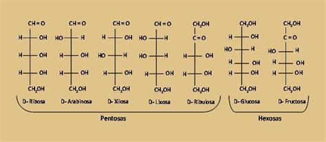 Química 3 ClasificaciÓn De Carbohidratos