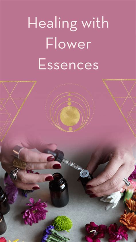 Healing With Flower Essences An Interview With Alena Hennessy Author Of The Healing Guide To