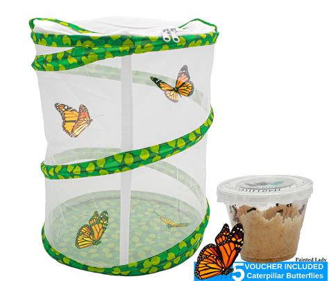 Butterfly Growing Garden Kit Butterfly Habitat Net Cage Collapsible