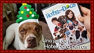 Una peli de pelos: Hotel para perros - YouTube
