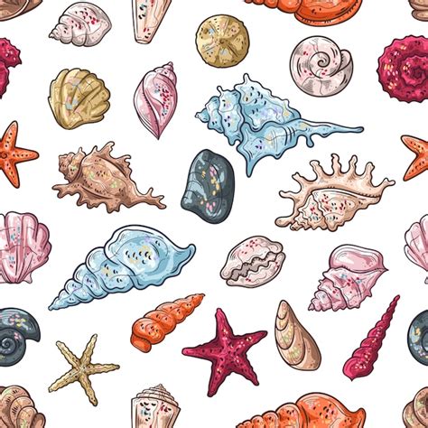 Premium Vector Seamless Pattern With Different Types Of Seashells