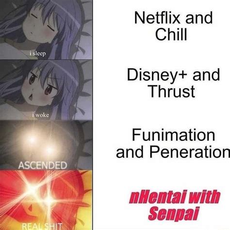 Netflix And Chill Disney And Thrust Funimation And Peneration