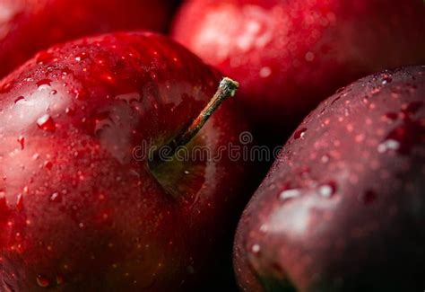 Red Fresh Apple Group Fruit For Healthy Stock Image Image Of Diet