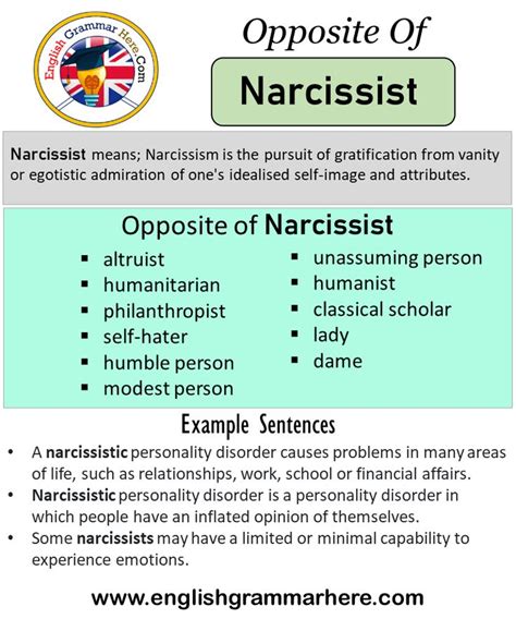 Another Term Used To Describe A Conversational Narcissist Is