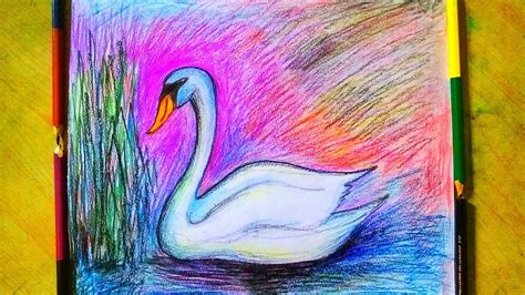 How To Draw A Swan Using Colour Pencils Youtube