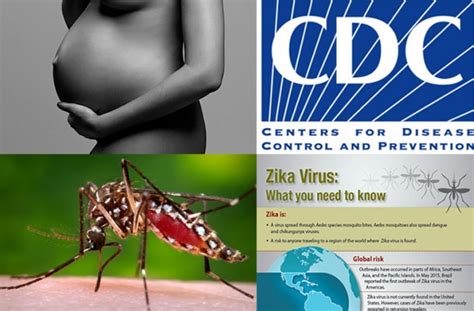 Cdc Issues Alert As Zika Virus Causing Birth Defects And Spreading To Us