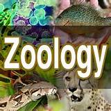 Bachelor Degree Zoology Animal Biology Photos