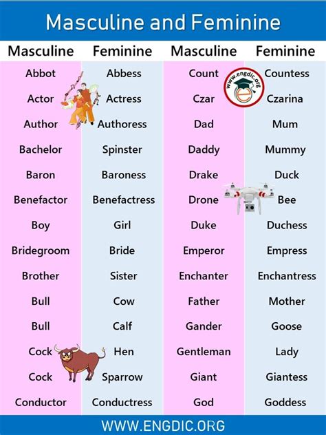 100 examples of masculine and feminine gender list engdic good vocabulary words english