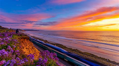 Train Between California Coast Pacific Ocean And Flowers