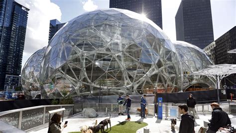Amazon Spheres Amazon Is Building Tree Filled Corporate Domes At Its