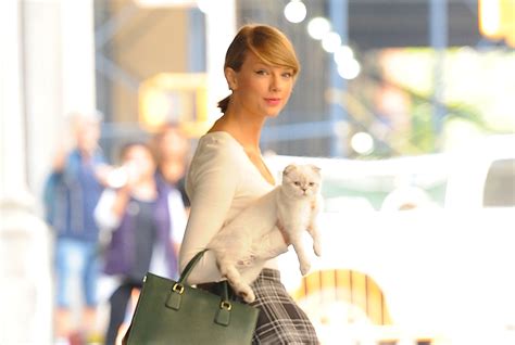 Taylor Swifts Cat Olivia Benson Is One Of The Worlds Richest Pets