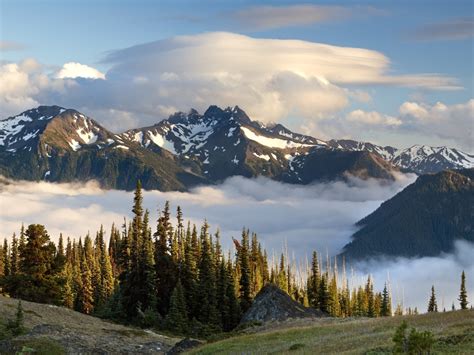 Deer park, located 14.5 miles east of hurricane ridge, is known for stunning views and incredible hiking, as well as being one of the best accessible destinations to. Национальный парк Олимпик - Olympic National Park » SFW ...