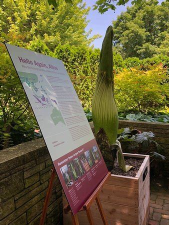 Sounds like the perfect place to get married, right? Chicago Botanic Garden (Glencoe) - 2018 All You Need to ...