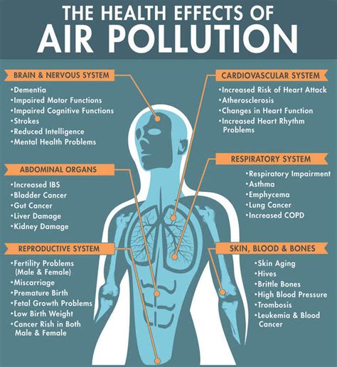 How Does Air Pollution Affect Our Health Sparks Media