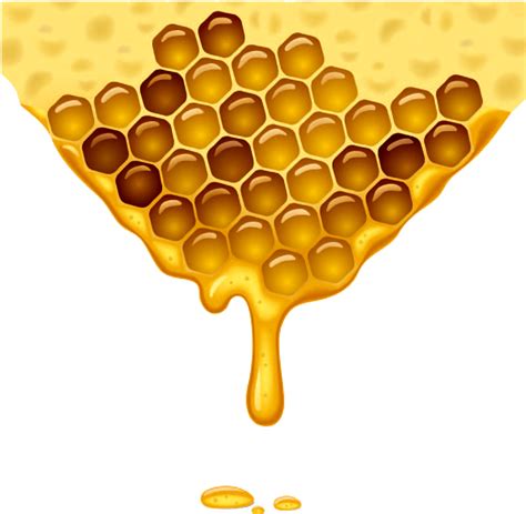 Transparent Transparent Background Honeycomb Png