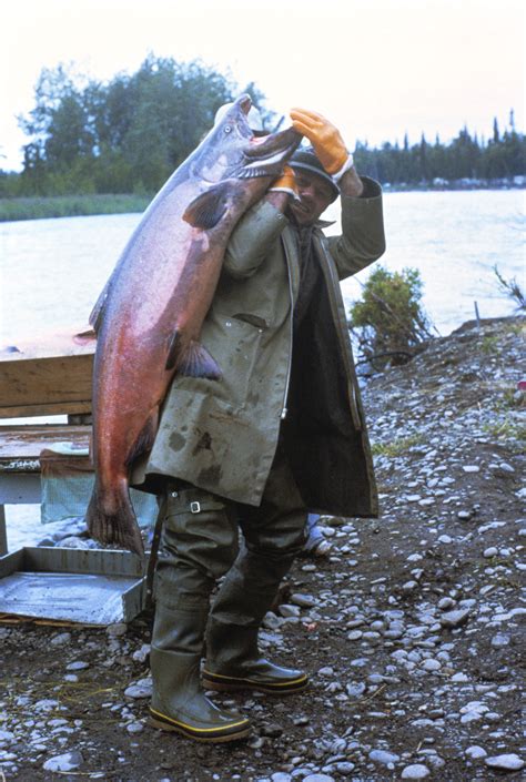 Your Alaskan Fishing Catch Fishing In Alaska Fishermen