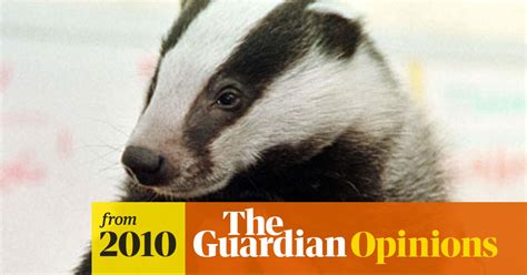 Kill The Cull Not The Badgers Brian May The Guardian