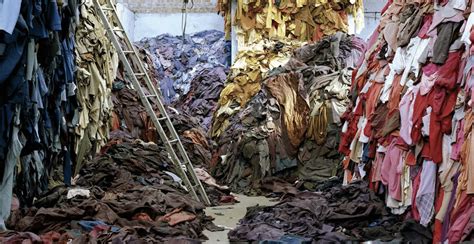 The Environmental Impact Of Fast Fashion Protecht