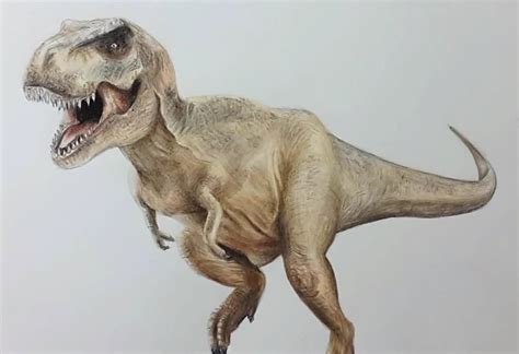 Tiranosaurio Rex Dibujo A Color Dibujo De Tiranosaurio Rex Enfadado