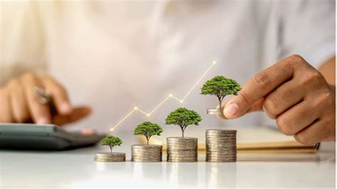 How To Plan Invest And Grow Your Wealth With A Wealth Management Service