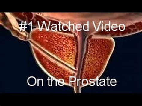 Best Prostate Video Youtube Prostate Massage Prostate Health Men Prostate