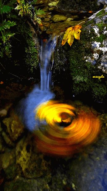 1000 Images About Moving Water On Pinterest Waterfalls S And