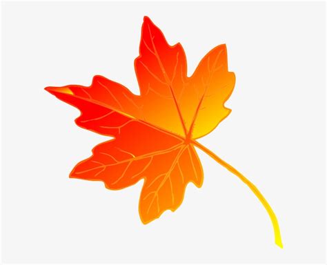 Free Beautiful Maple Leaf Clip Art Fall Leaves Public Domain
