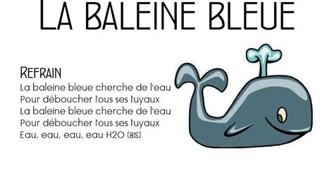 FM St Jean La Baleine Bleue CI
