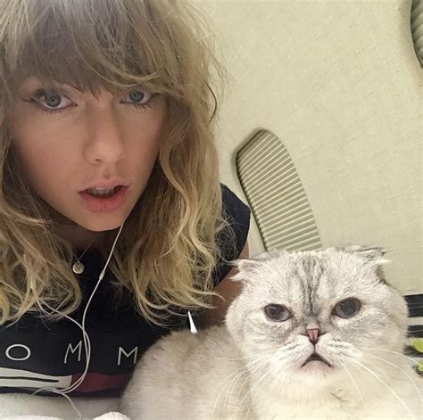 Taylor Swifts Cat Olivia Benson Is Worth A Whopping 97 Million