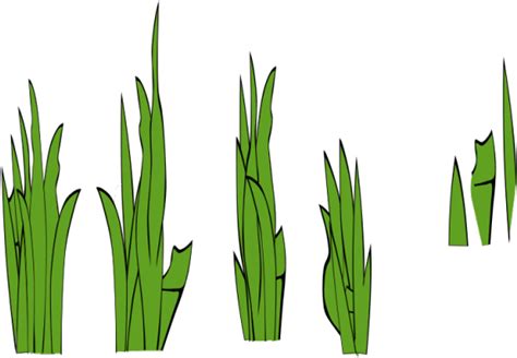 Download Stone Clipart Grass Clump Grass Clip Art Png Download