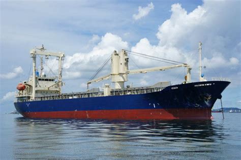11000 Dwt General Cargo Ship For Sale