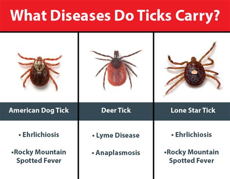 Ticks In Vermont Where To Find Ticks In Vt Tickborne Diseases