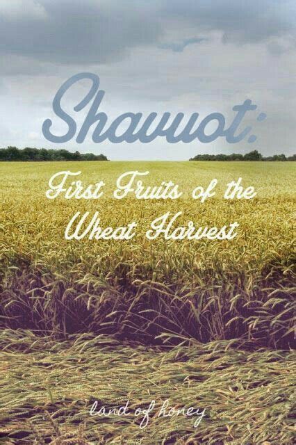 Pin By Tammy Page On Festivals Of The Lord Shavuot Feasts Of The