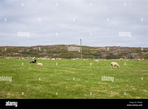 Ireland Countryside At West Cork Stock Photo Alamy