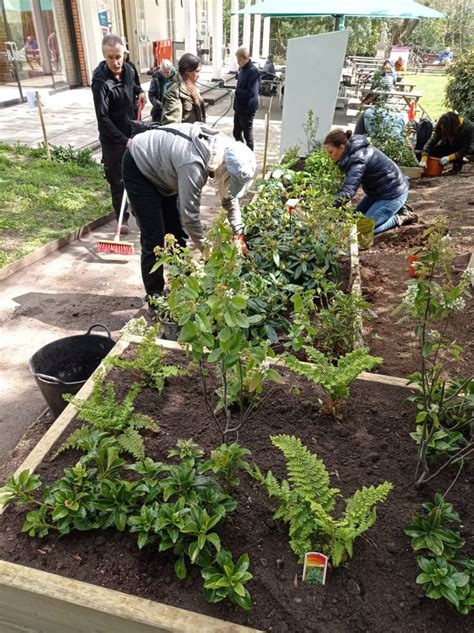 Lh Raised Bed After Friends Of Waterlow Park