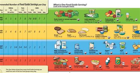 Canada Food Guide Servings Printable Worksheets For Teachers K