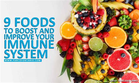 9 Foods To Boost And Improve Your Immune System The Physiotherapy And
